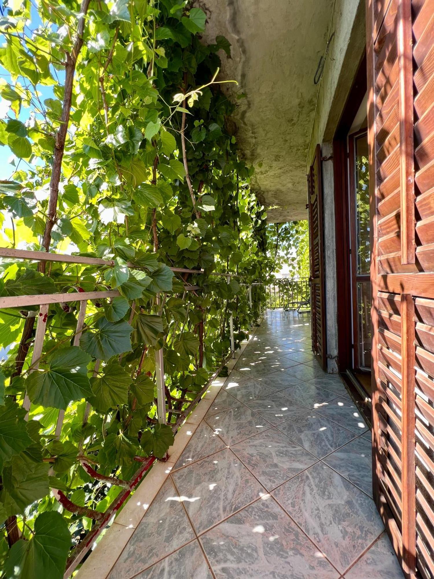 Vodice Center Apartments Cameră foto